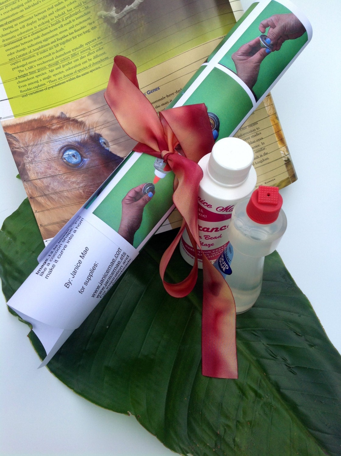 Paper Cocoon Tutorial