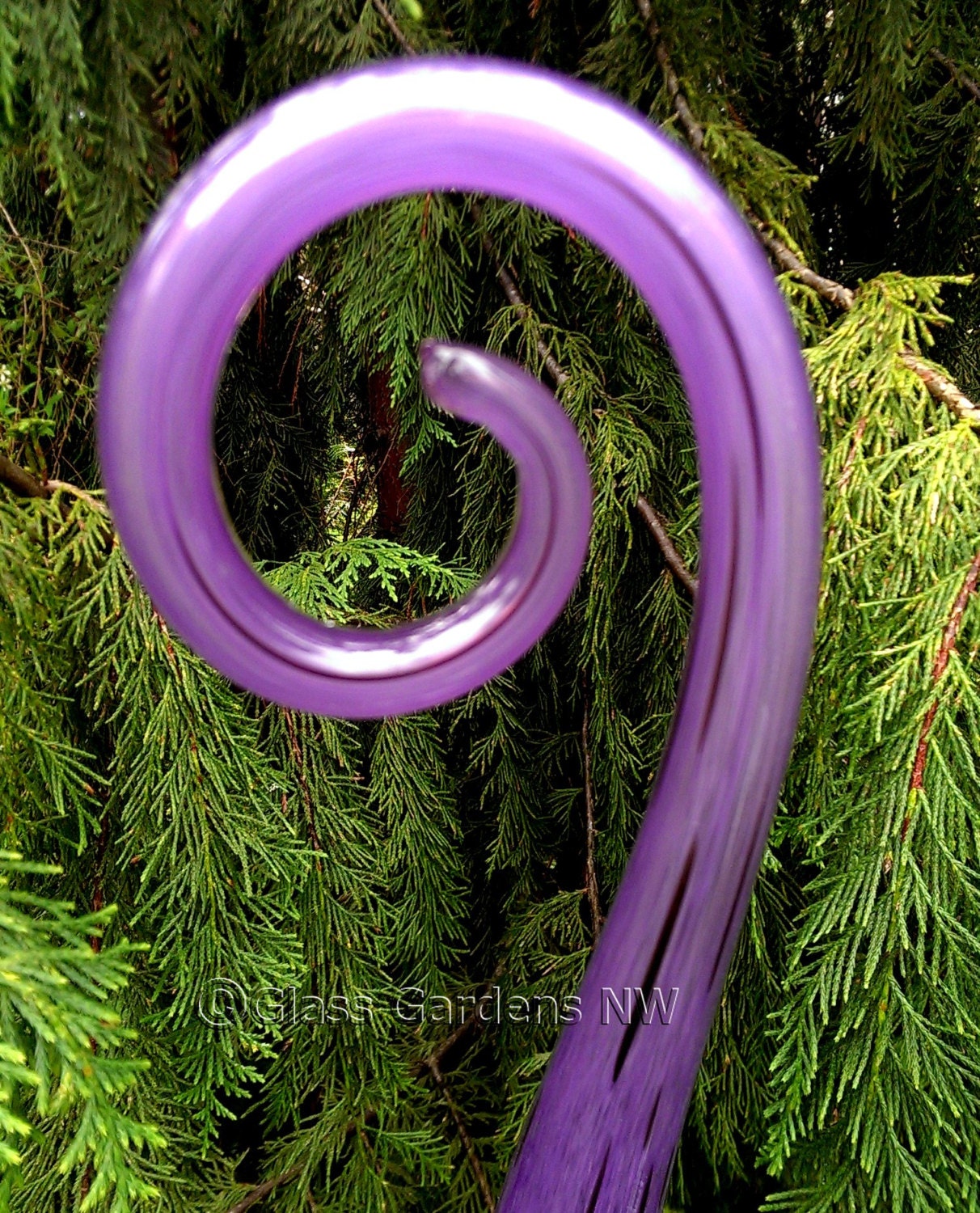 Hand Blown glass Fiddlestick - Purple & black (large) - Glass Garden Art