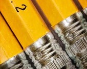 Pencils - 5 x 7 print - Childs Room Decor - Office Decor