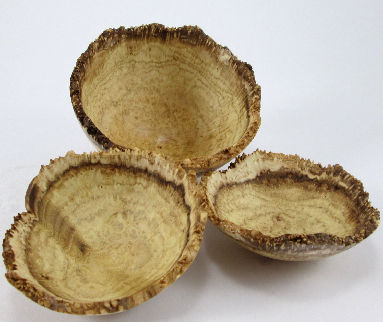 The Archaic Three -  Black Locust Burl Bowls