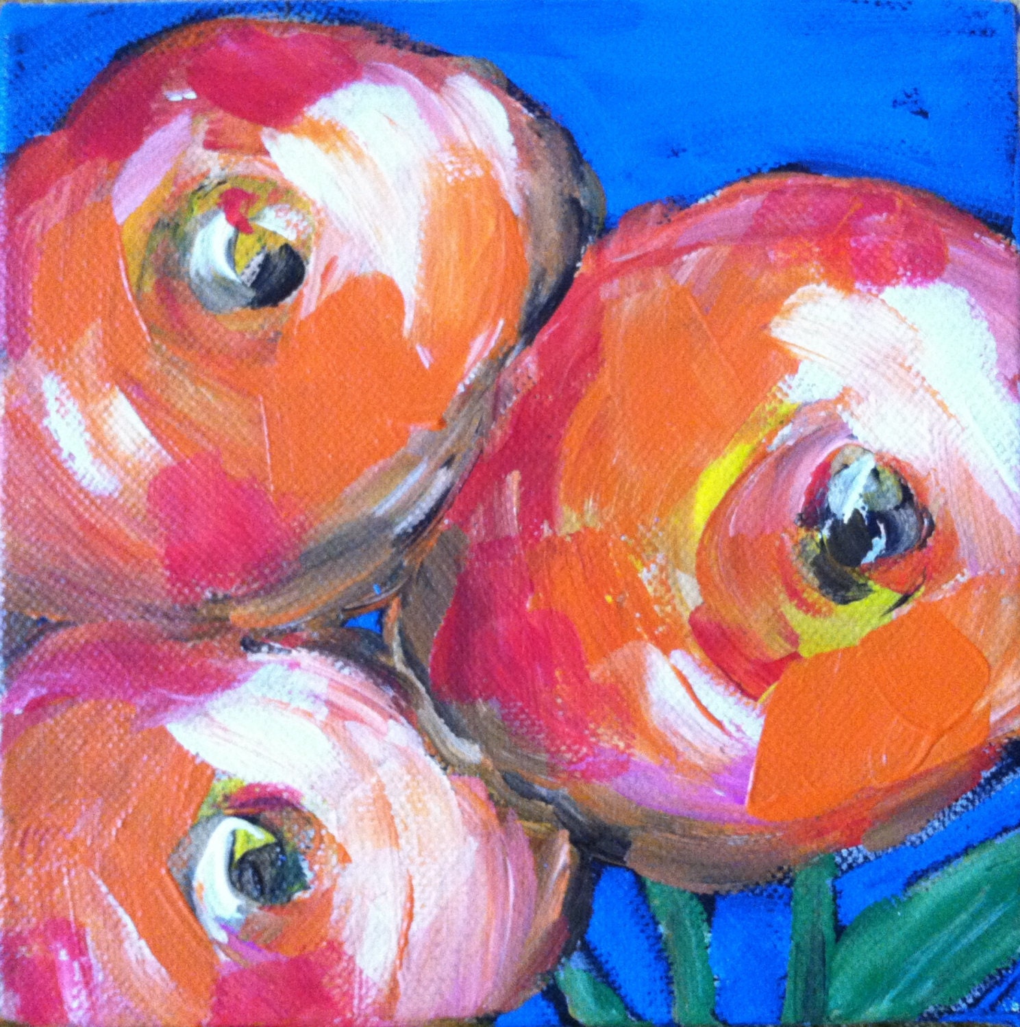 Camellias