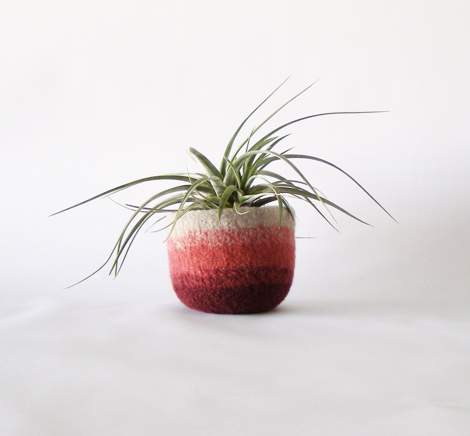 ombre felted bowl - felt wool bowl with graduated colors from mauve taupe to burgundy - plant pot cozy, air plant vessel