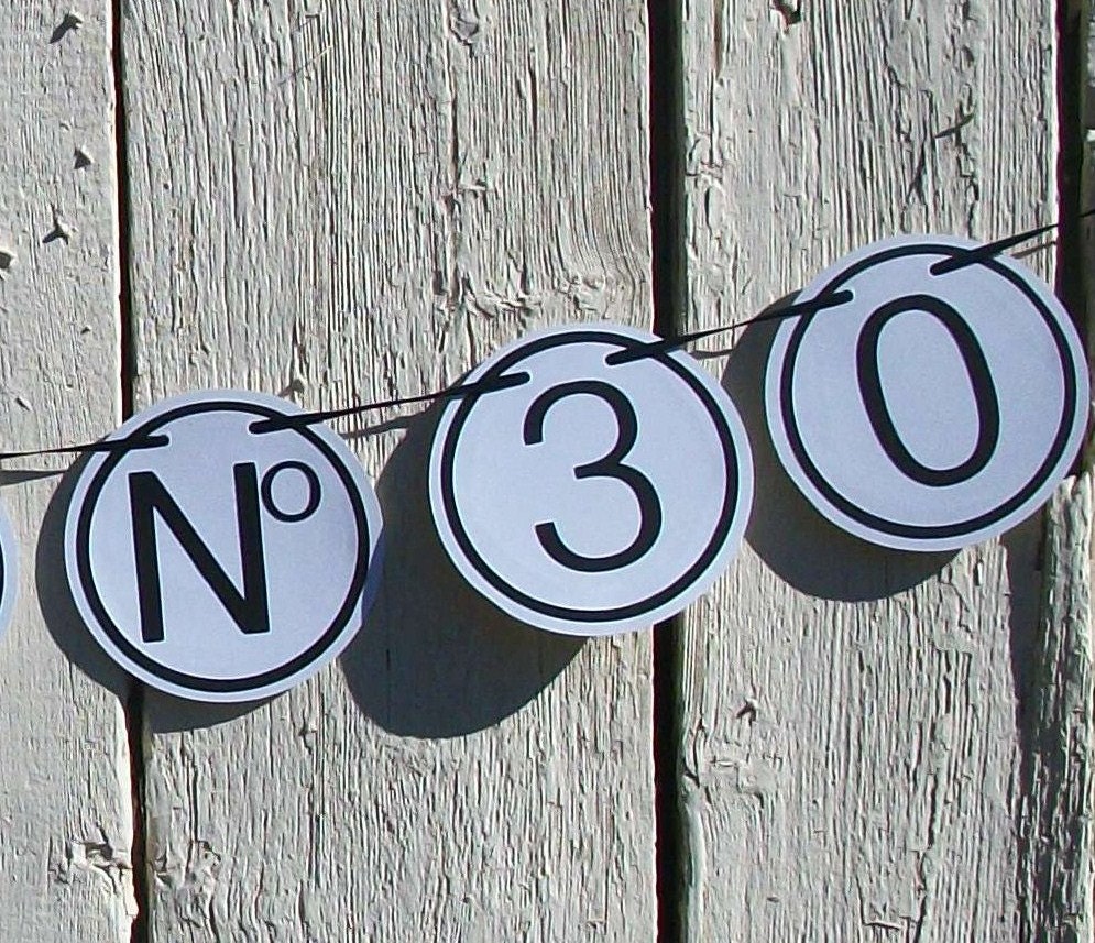 Banner for Chic Birthday, Wedding, Bridal or Baby Shower