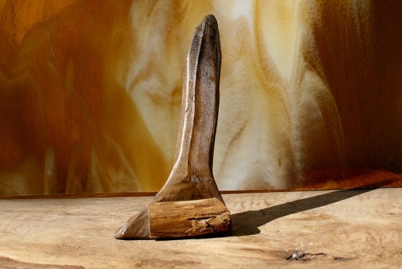 Picture Holder,Card Holder of Natural Driftwood