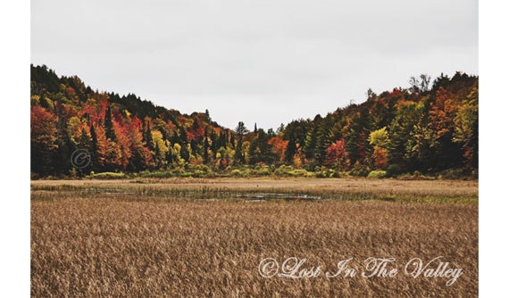 Vermont Photo, Autumn Photography, Fall, Autumnal, New England, Country Life, Colorful Valley, Yellow, Red, Green, 8x12 Fine Art Photograph