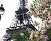 Paris Photography - Paris in the Springtime - White Blossoms Eiffel Tower  - 8x10 Fine Art Photograph - Paris Home Decor - Blush Pink
