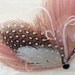 Hair Accessories Peacock, Pink Feather Hairpiece, Peacock Fascinator LILA, Bridesmaid Hairpiece - Vintage Spring Wedding - pink blush ivory