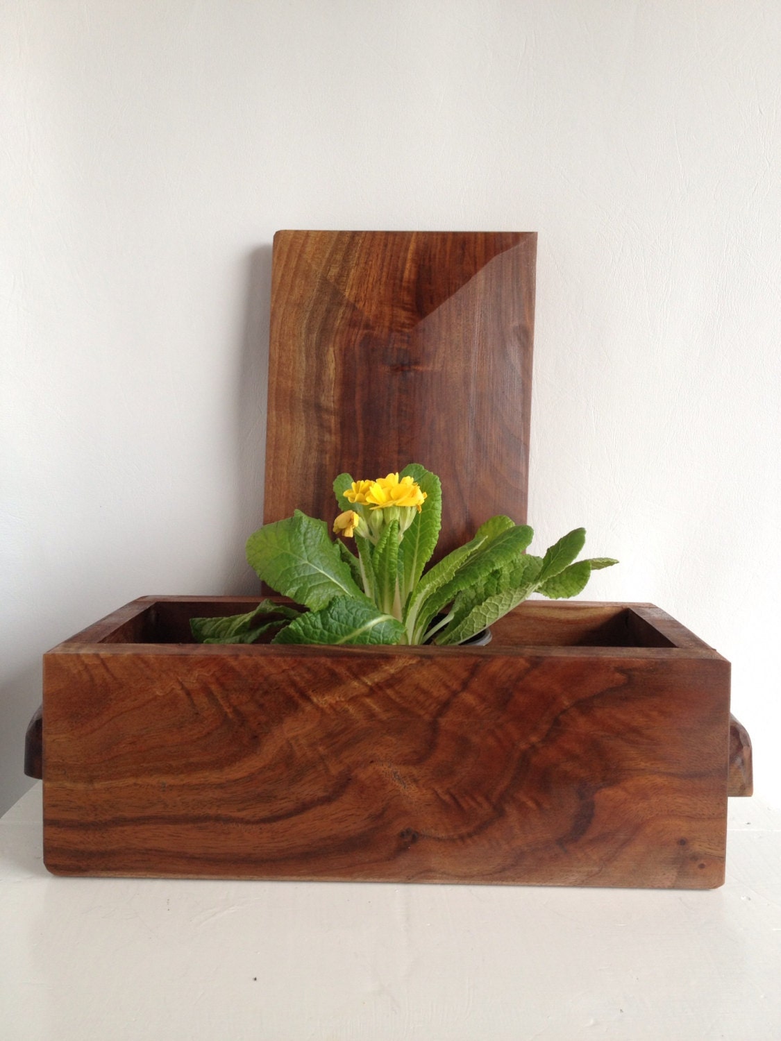 Hand carved solid black Walnut box handcrafted keepsake Jewelry Box organic earthy