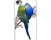 Colorful Budgie Birds with White, Black or Clear Sides iPhone Case - IPhone 4, 4s, 5 Hard Cover - Fun Bright Art Unique  - artstudio54