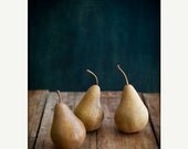 40% OFF SUMMER SALE fruit, Kitchen Decor, pears, teal, grey, gift - Pears 8x10 Print - by Tina Crespo Philadelphia