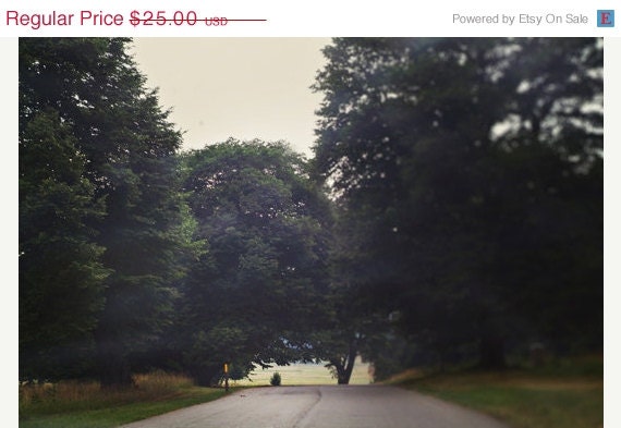 40% OFF SUMMER SALE The Forest - Scene Three - 8x12 Fine Art Photograph by Tina Crespo
