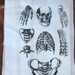 Tea Towel: Parts of the Human Skeleton