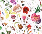 Floral Eve D Liberty of London Tana Lawn Fabric One Yard