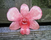 REAL Natural Soft Shades of Pink Samll ORCHID Pin and Pendant