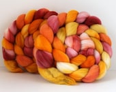 Merino Roving - Hand Painted - Hand Dyed for Spinning or Felting - 4oz - HOT DOGGIE