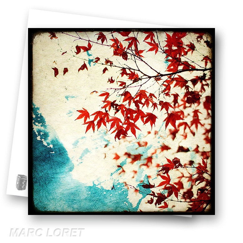 Automne Rouge - Fine Art Photography French Nature - Photo Postcard