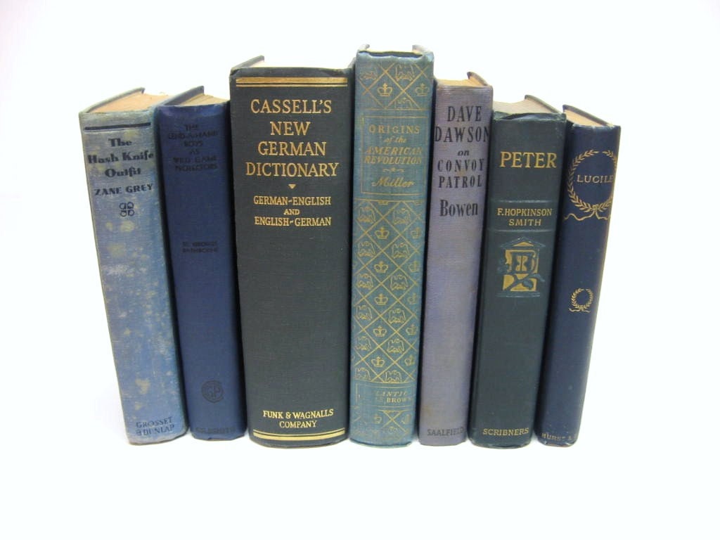 Vintage Soft Grey Gray Blue Books - Home Decor - Photo Prop - Instant Library - Vintage Wedding - Table Settings - Display - Shabby - DimeStoreVintage