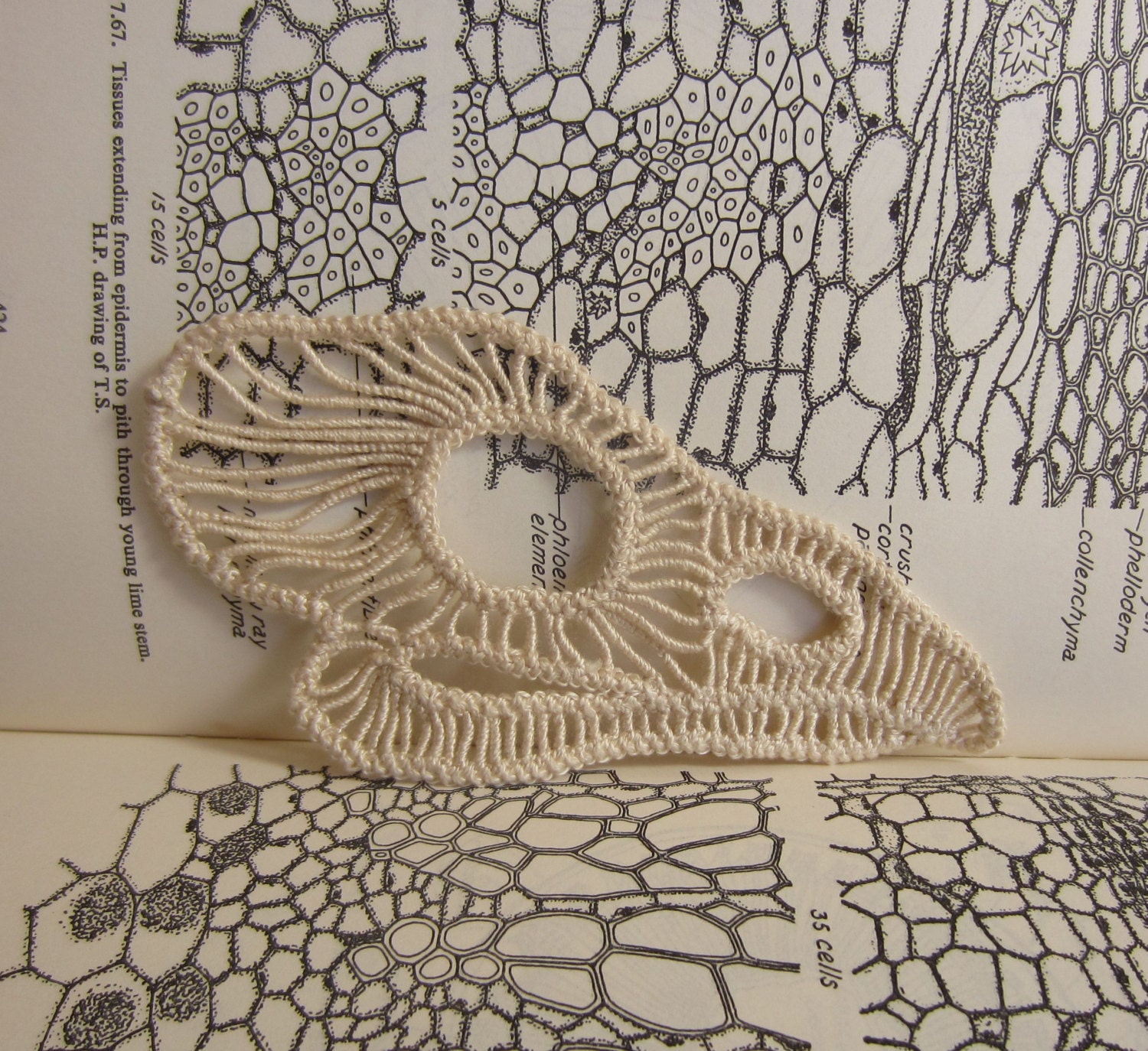 Lace Chicken Skull Made to Order