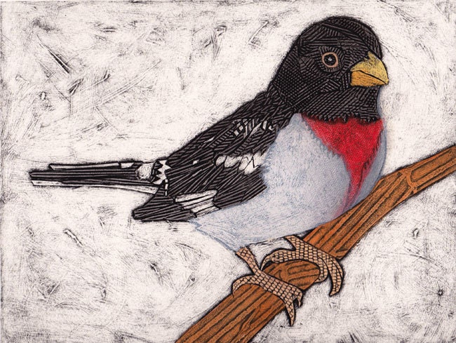 Rose-Breasted Grosbeak 7 (Original Collograph of Male Songbird)