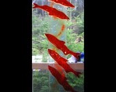 Fish Ladder