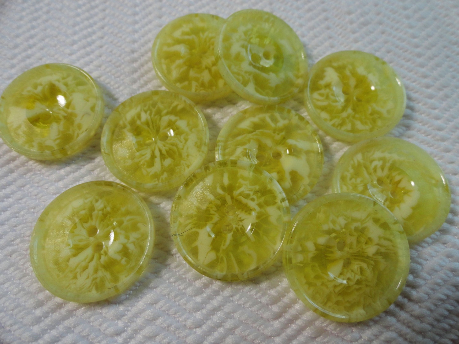 Celluloid Vintage Buttons - 6 Antique Buttons in Buttercream