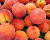 NEW:  Peach Coconut Hair Milk