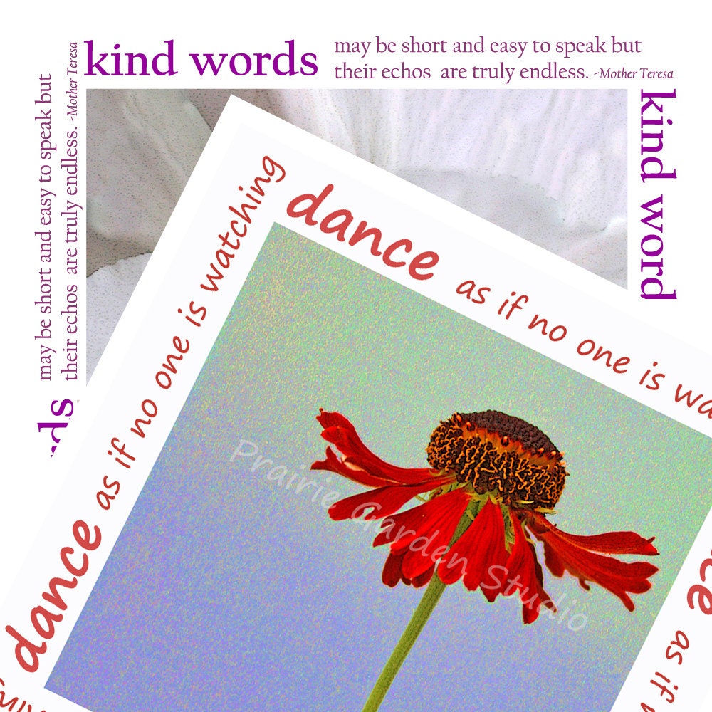 5x5 fine art photography set of 2  post cards