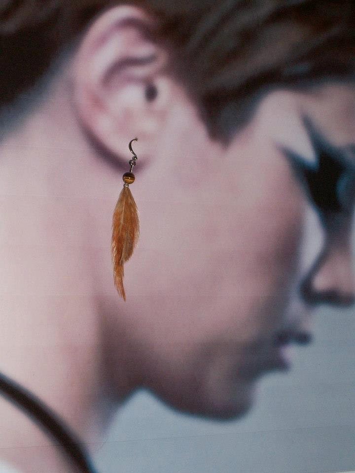 Orange/Brown Feather Earrings