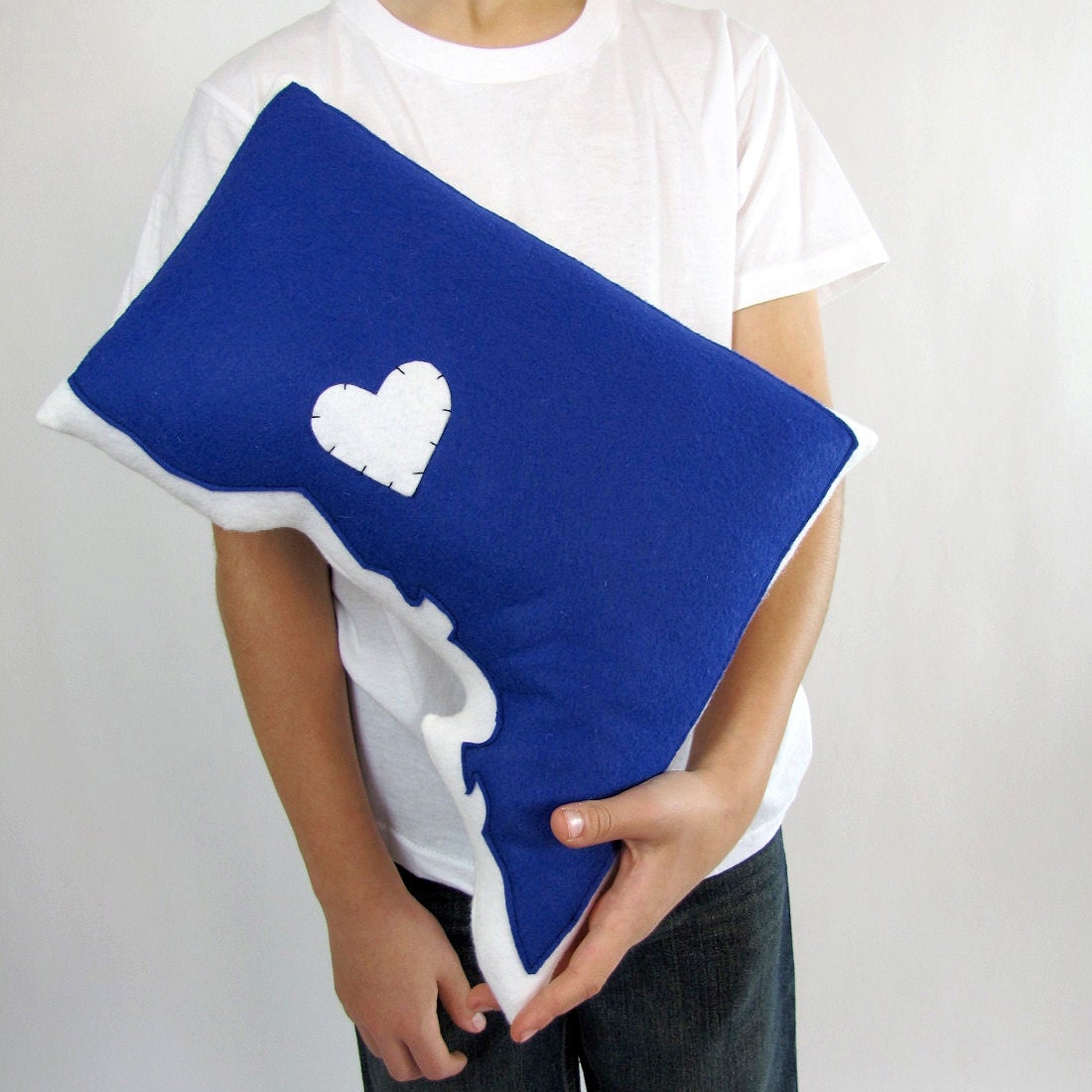 Customizable Washington DC Pillow