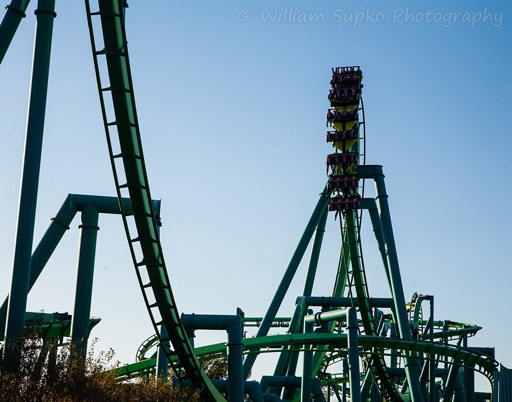 Raptor at Cedar Point 11x14 Print