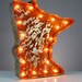 Vintage Marquee Lights - Minnesota