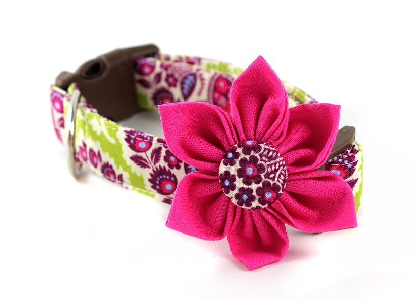 Pink Dog Collar Flower - Heirloom in Lime
