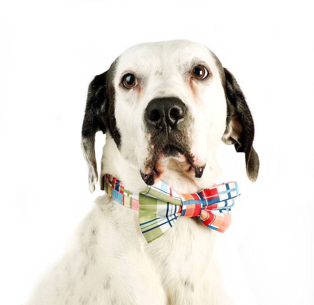 Colorful Patchwork Plaid Dog Collar Bowtie Set - Madras Plaid - Made to Order in Your Choice of Size