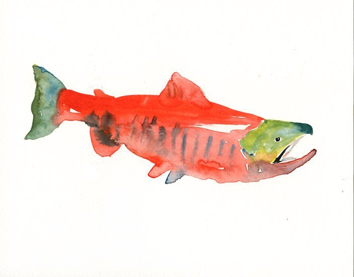 SOCKEYE SALMON Original watercolor painting 10X8inch