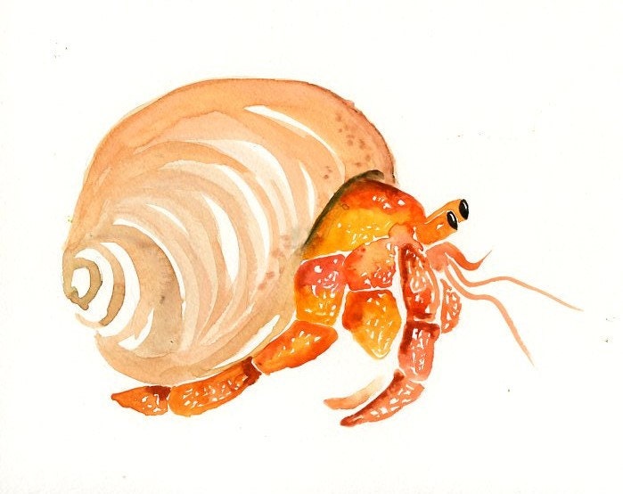 HERMIT CRAB Original watercolor painting 10X8inch