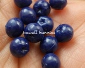 Sweets Deco blueberry piece  Decoden 10 pieces