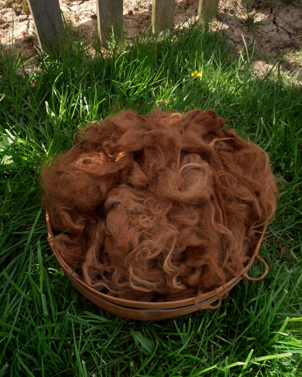 SALE, Suri Alpaca Fiber, 7.5", Light Brown, 4 Ounces for Price of 2, Miski