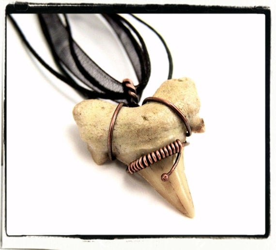 015 Shark Tooth Fossil Wire Wrapped Antique Copper Pendant