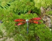 Dragonfly Pin