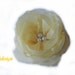 6 Pieces Yellow Saffron Handmade Organza Flowers
