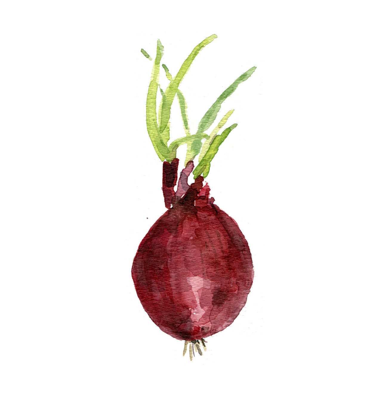 Red onion  original  botoanical watercolor painting in Green burgundy red and purple, kitchen art,  cottage chic, country, minimalist