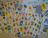 FUN Vintage Mexian BINGO Game cards