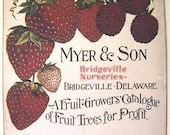 Fruit Growers Catalogue Tags