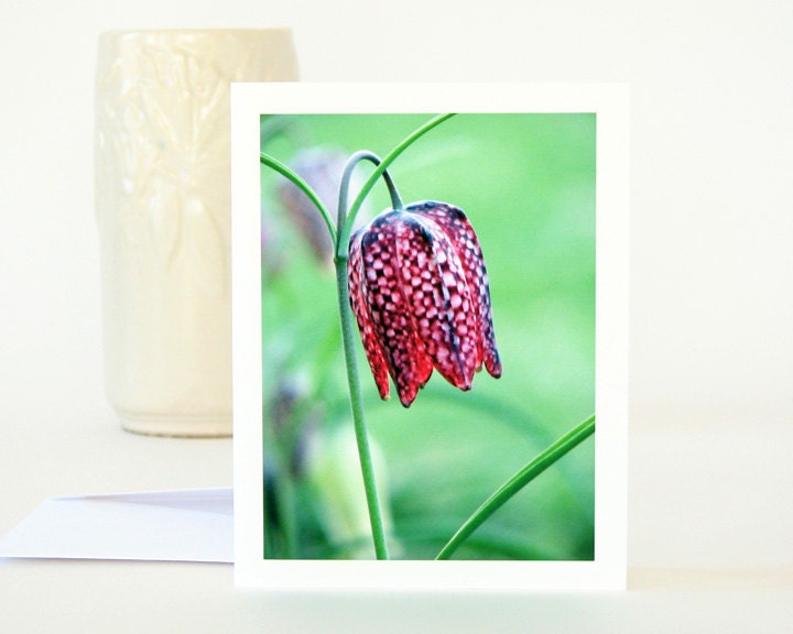 Floral Photo Note Card Purple Checkered Lily Fritillaria meleagris, spring flower photography all occasion stationery blank notecard