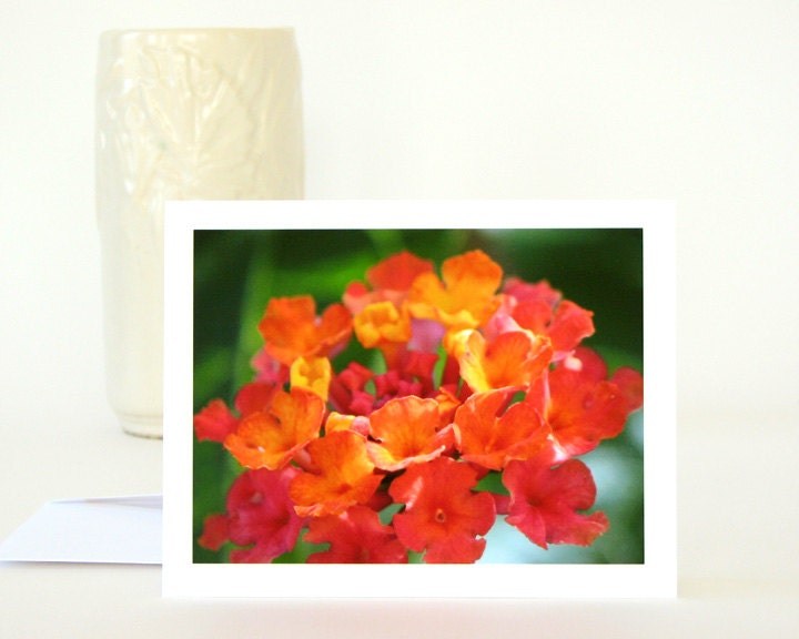 Garden Flower Photo Note Card Lantana bright orange red hot pink yellow green floral photography stationery blank notecard