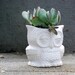 owl Planter indoor planter ivory white home decor