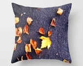 Photography Art Pillow Cover 18 x 18 Leaves On A Sidewalk
