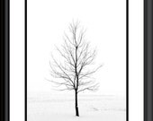 Minimalist Art, Winter Landscape Photography, Black and White, Nature, Framed and Ready to Hang,11X14 Frame, Snow, Dead of Winter