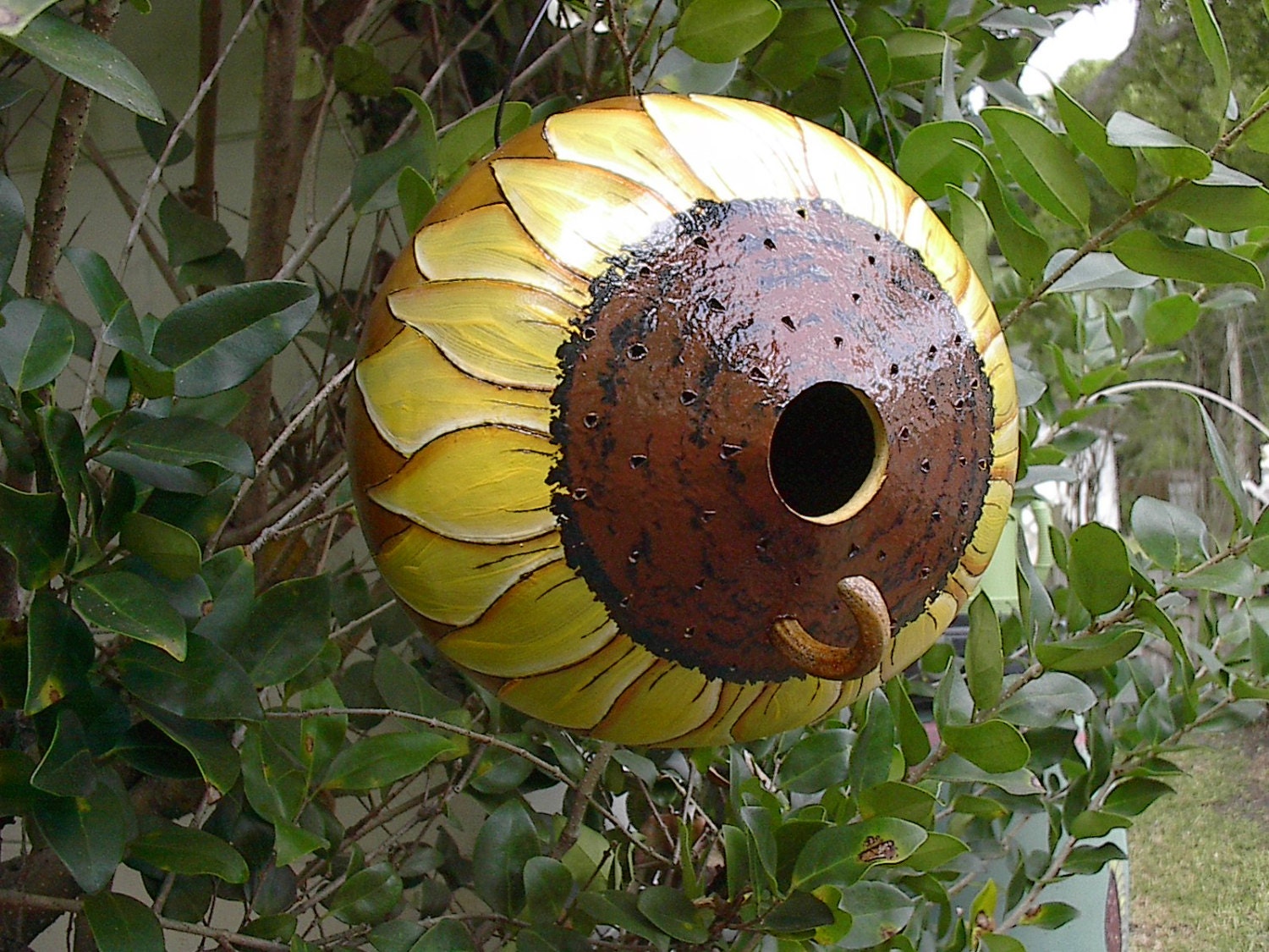 Gourd Sunflower Bird House Painted Gourd Art