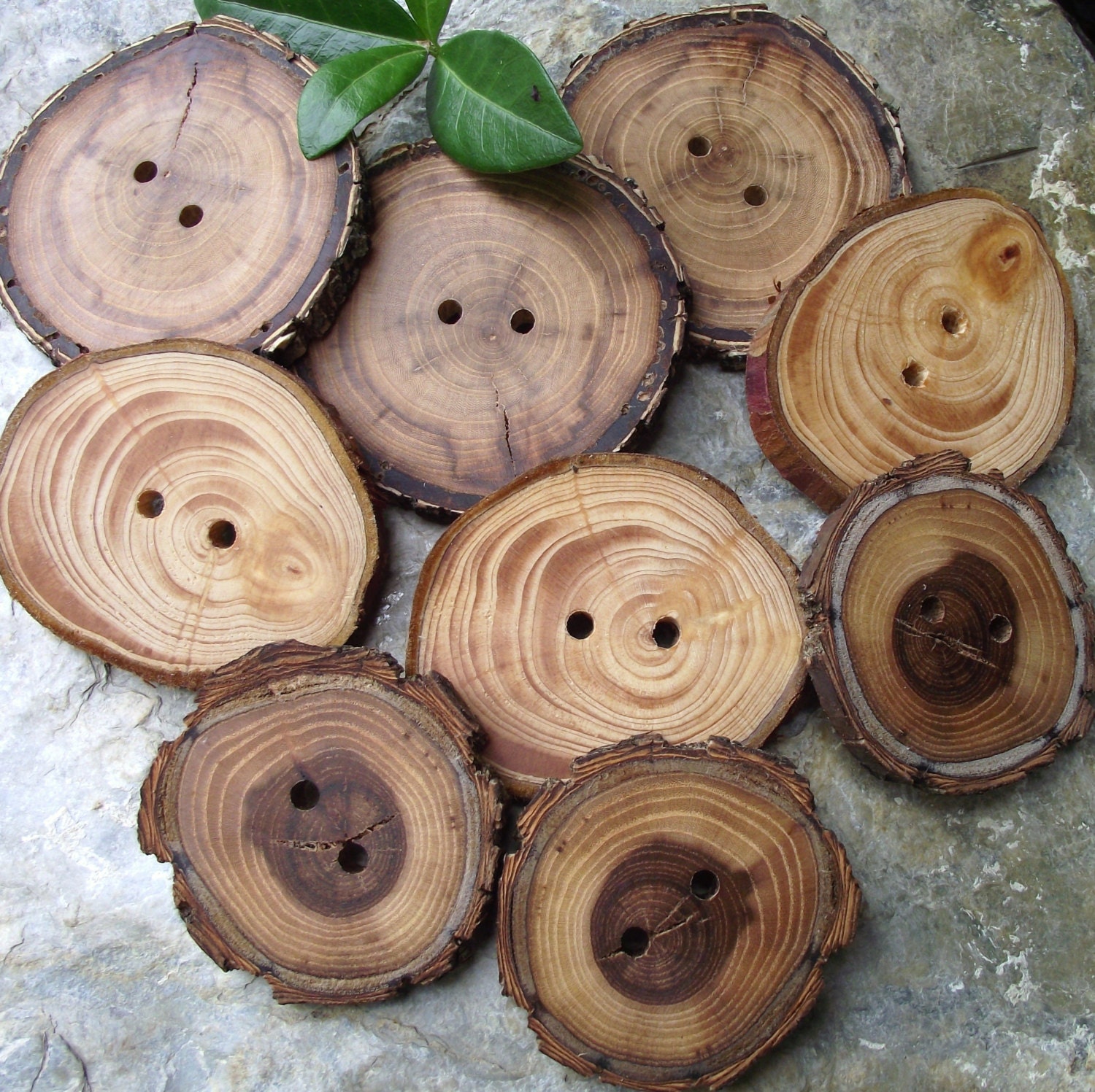 Wood Buttons - Amazing Wooden Ohio Tree Branch Button Assortment - Great for Journals, Pillows, Handbags, Crochet, Knitting and Sewing